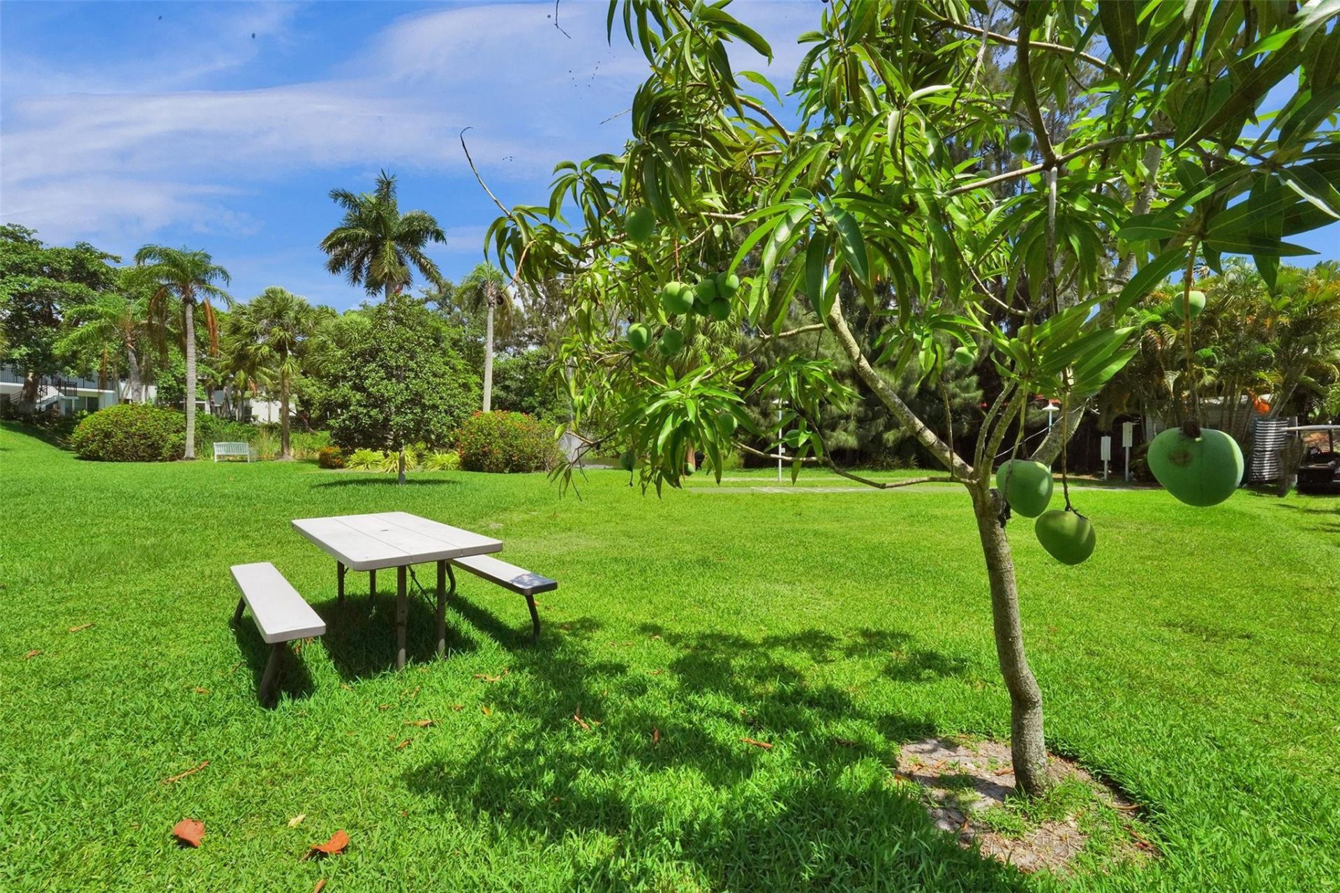 1055 SE 15th Street, Unit 14C, Fort Lauderdale, FL 33316 Photo