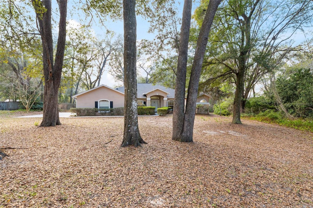 14650 SE 1st Avenue Road , Summerfield, FL 34491 Photo