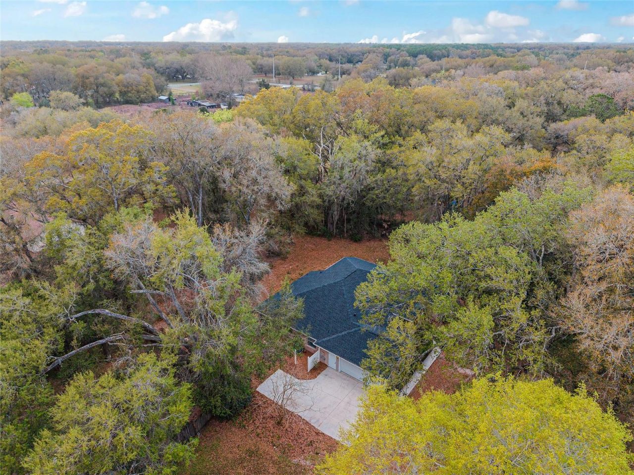 14650 SE 1st Avenue Road , Summerfield, FL 34491 Photo