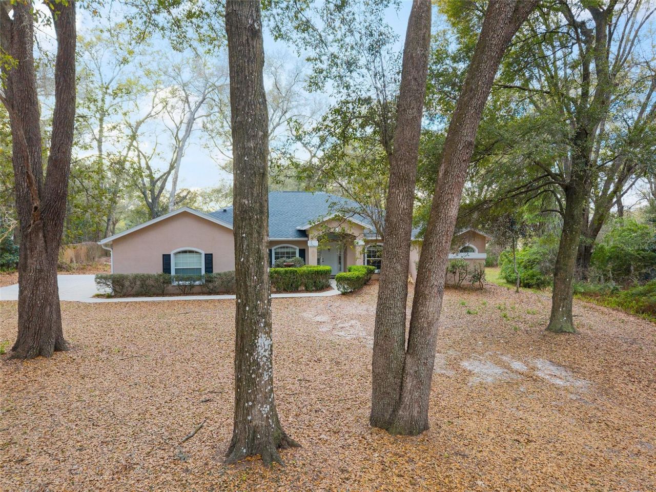 14650 SE 1st Avenue Road , Summerfield, FL 34491 Photo