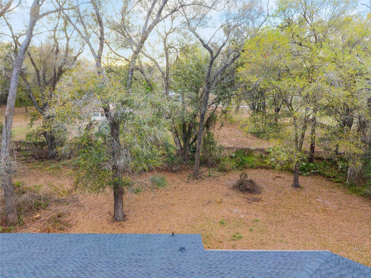 14650 SE 1st Avenue Road , Summerfield, FL 34491 Photo