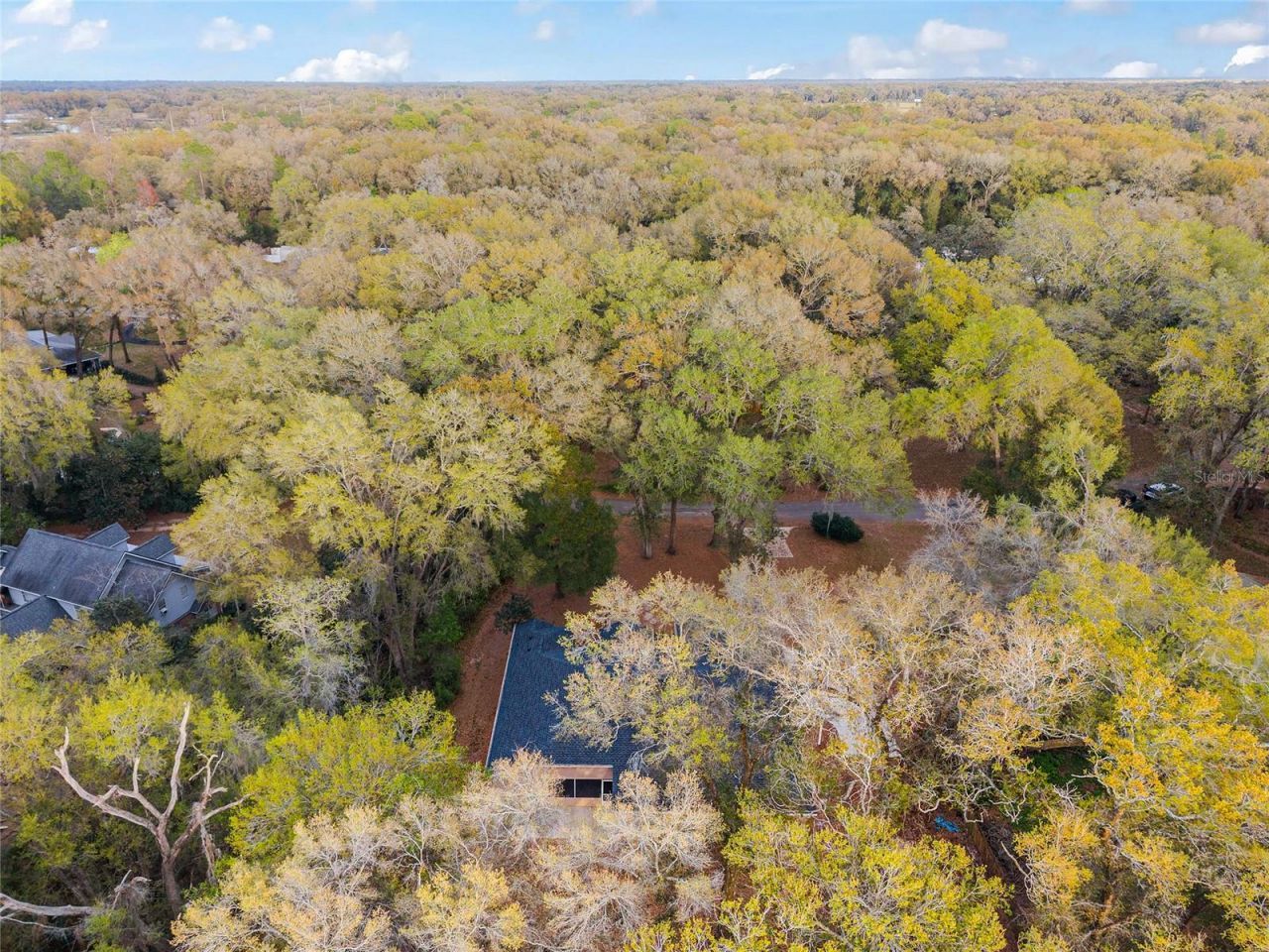 14650 SE 1st Avenue Road , Summerfield, FL 34491 Photo