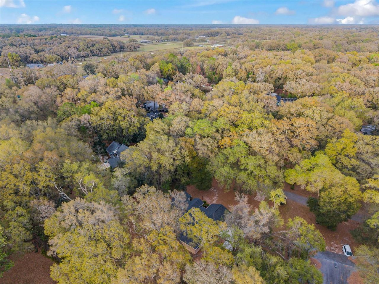 14650 SE 1st Avenue Road , Summerfield, FL 34491 Photo