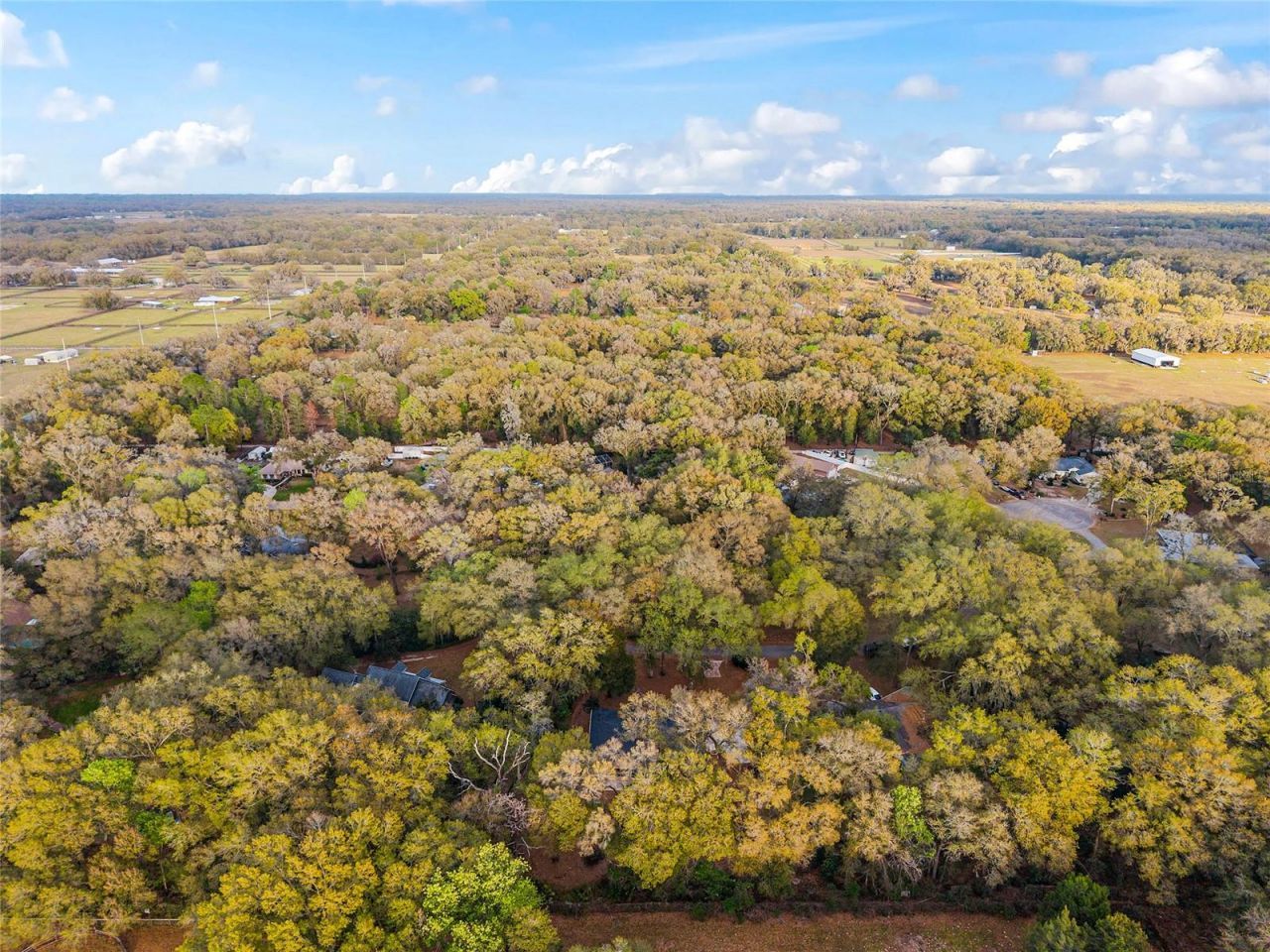 14650 SE 1st Avenue Road , Summerfield, FL 34491 Photo