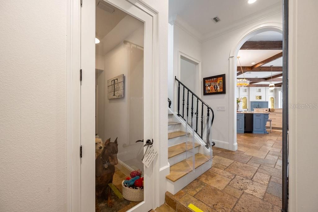 6013 Greatwater Drive, Windermere, FL 34786 Photo