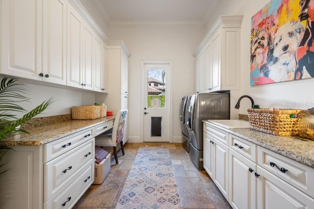 6013 Greatwater Drive, Windermere, FL 34786 Photo