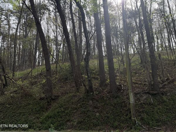 11044 Loop Rd, Soddy-Daisy, TN 37379