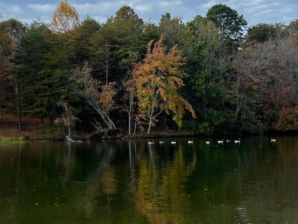 45 Pin Hook Road , Spring City, TN 37381