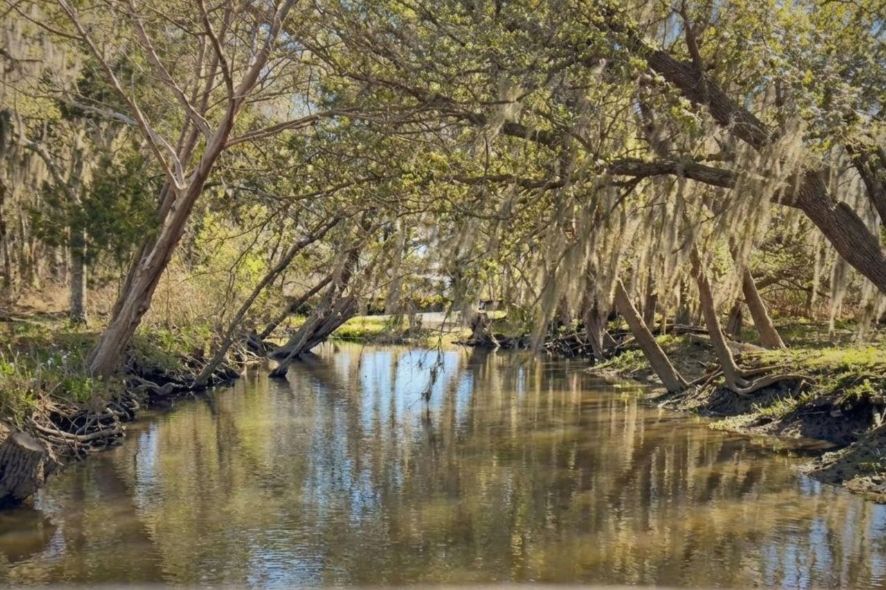 6411 China Back Lane Photo 53