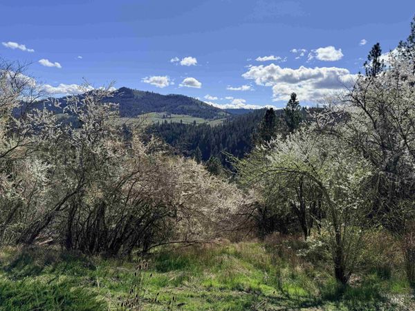 620 Old Peck Grade, Lenore, ID 83541