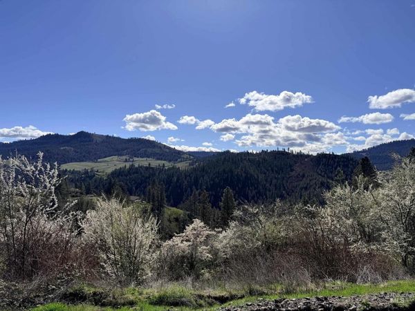 620 Old Peck Grade, Lenore, ID 83541