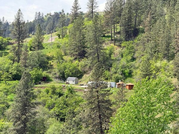 620 Old Peck Grade, Lenore, ID 83541