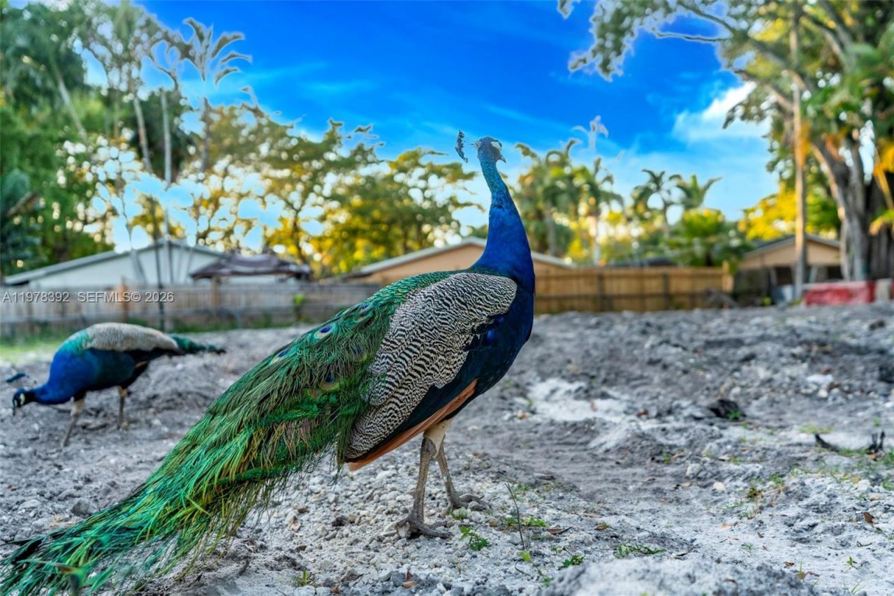 2361 SW 18th Ave , Fort Lauderdale, FL 33315 Photo