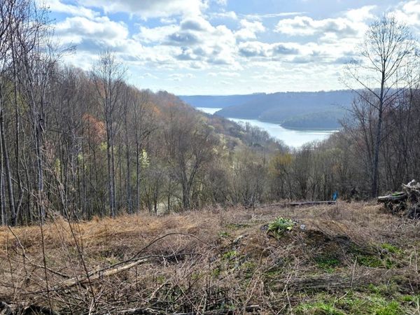 109 Deer Path Ct, Smithville, TN 37166