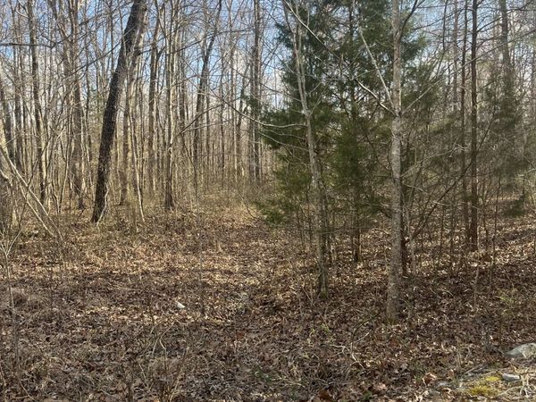 0 Boyton Valley Rd, Manchester, TN 37355