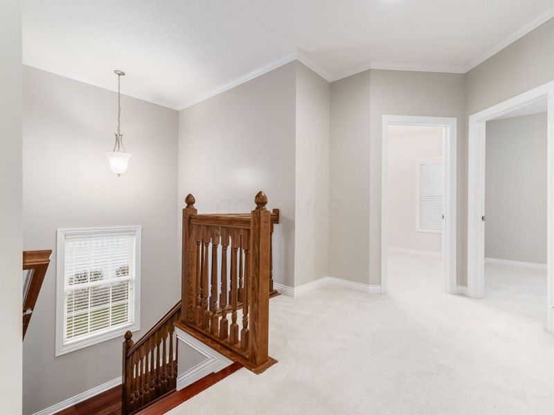 7043 Cunningham Drive, New Albany, OH 43054 Photo 37