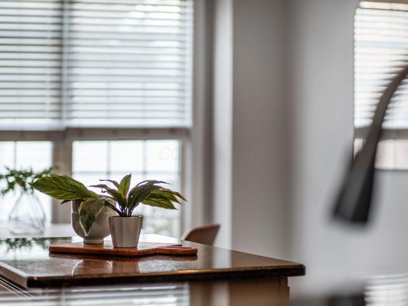 7043 Cunningham Drive, New Albany, OH 43054 Photo 40