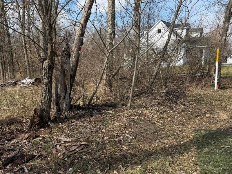 13159 Ivy Road NE, Thornville, OH 43076 Photo 2