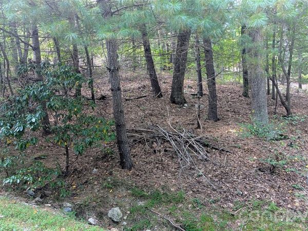 101 Scenic Drive , Flat Rock, NC 28731