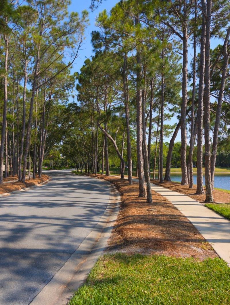 3077 Branch Drive, Clearwater, FL 33760 Photo