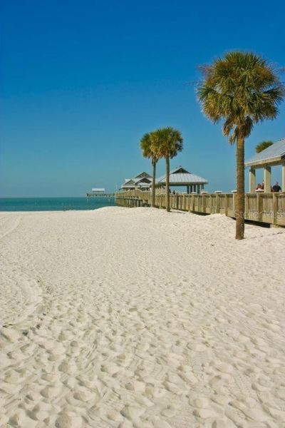 3077 Branch Drive, Clearwater, FL 33760 Photo