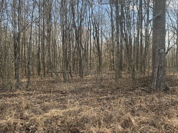 0 Boynton Valley Rd, Manchester, TN 37355