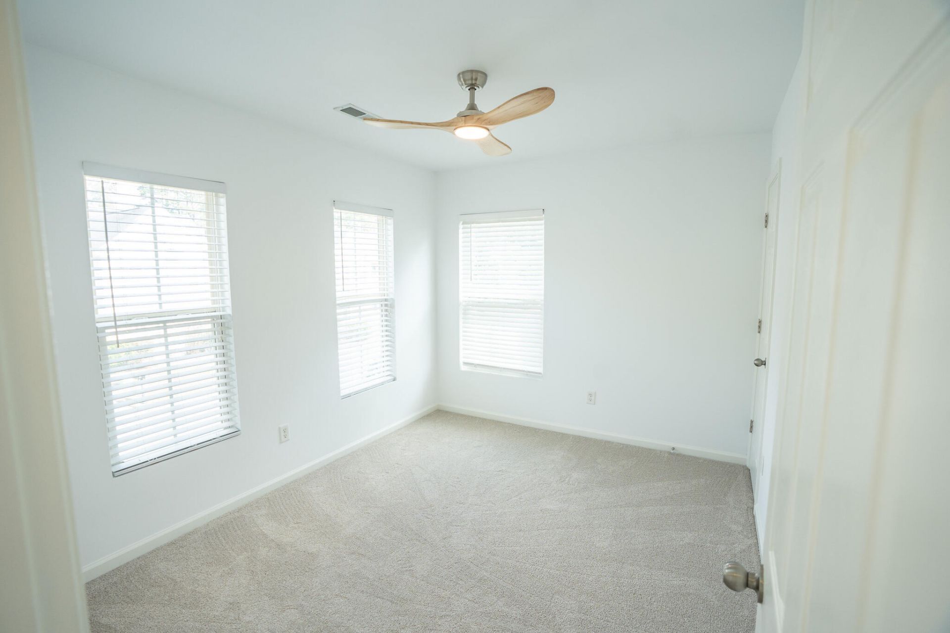 243 Cameron Street Photo 14