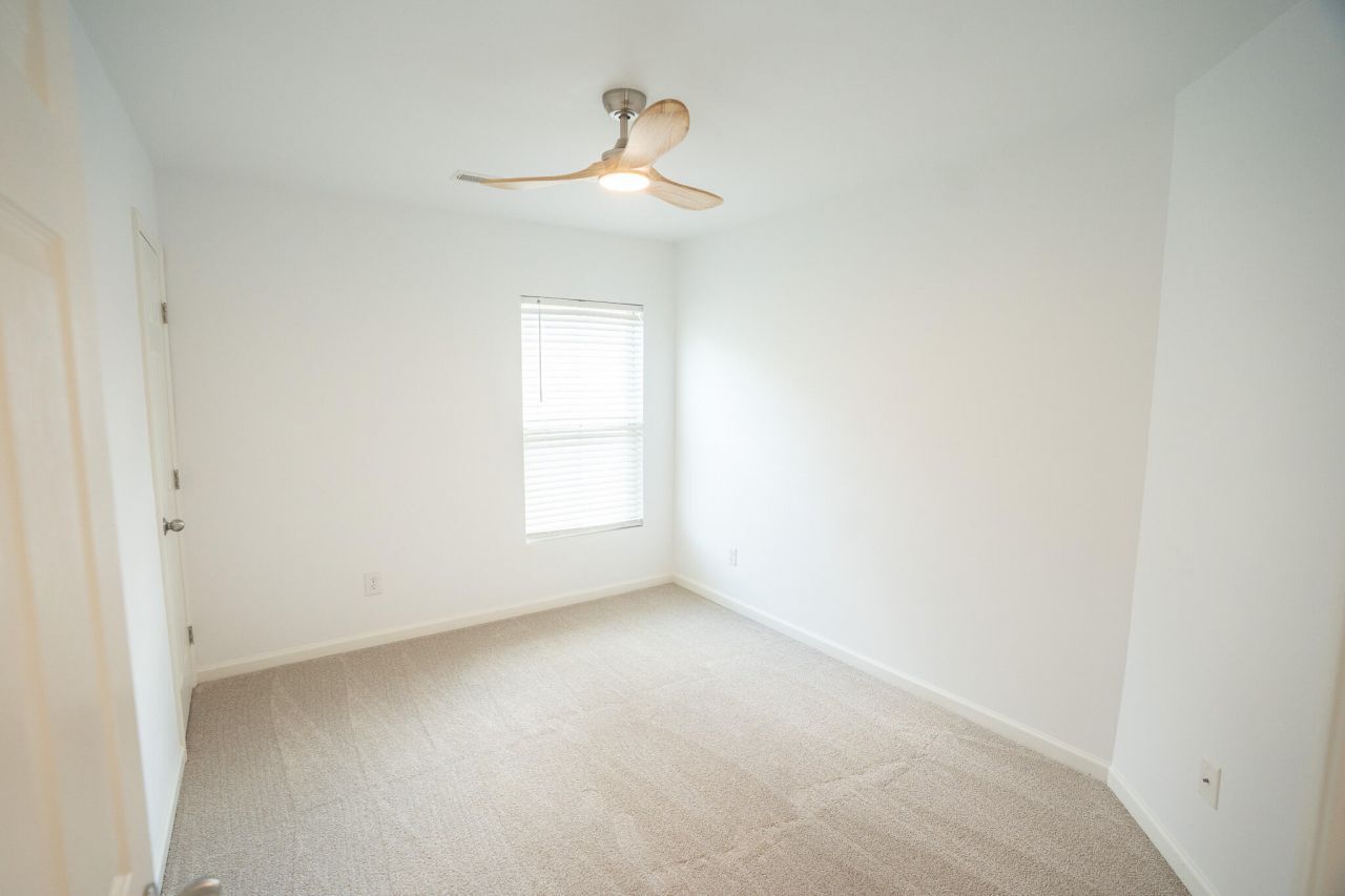 243 Cameron Street Photo 27