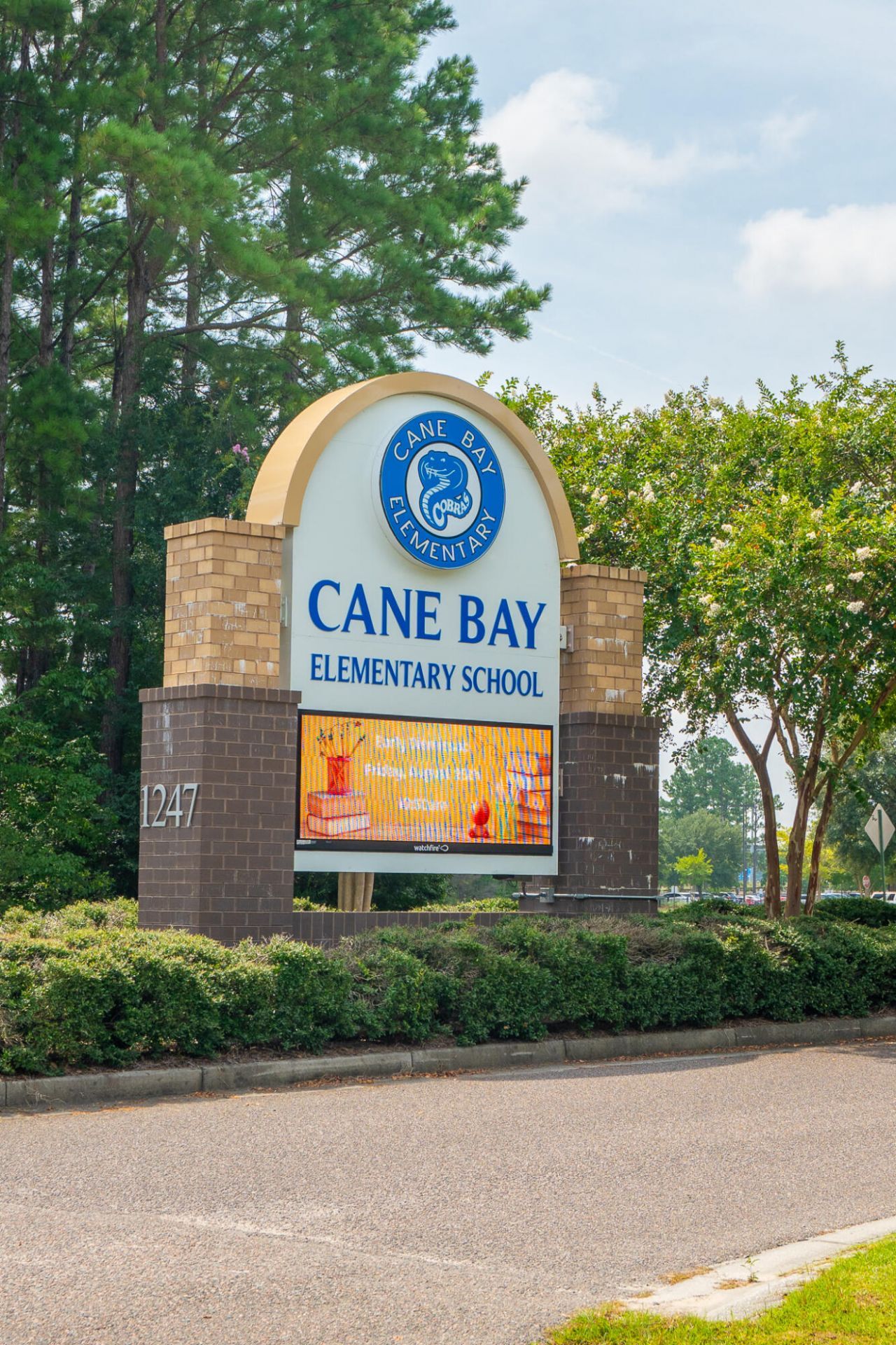 243 Cameron Street Photo 33