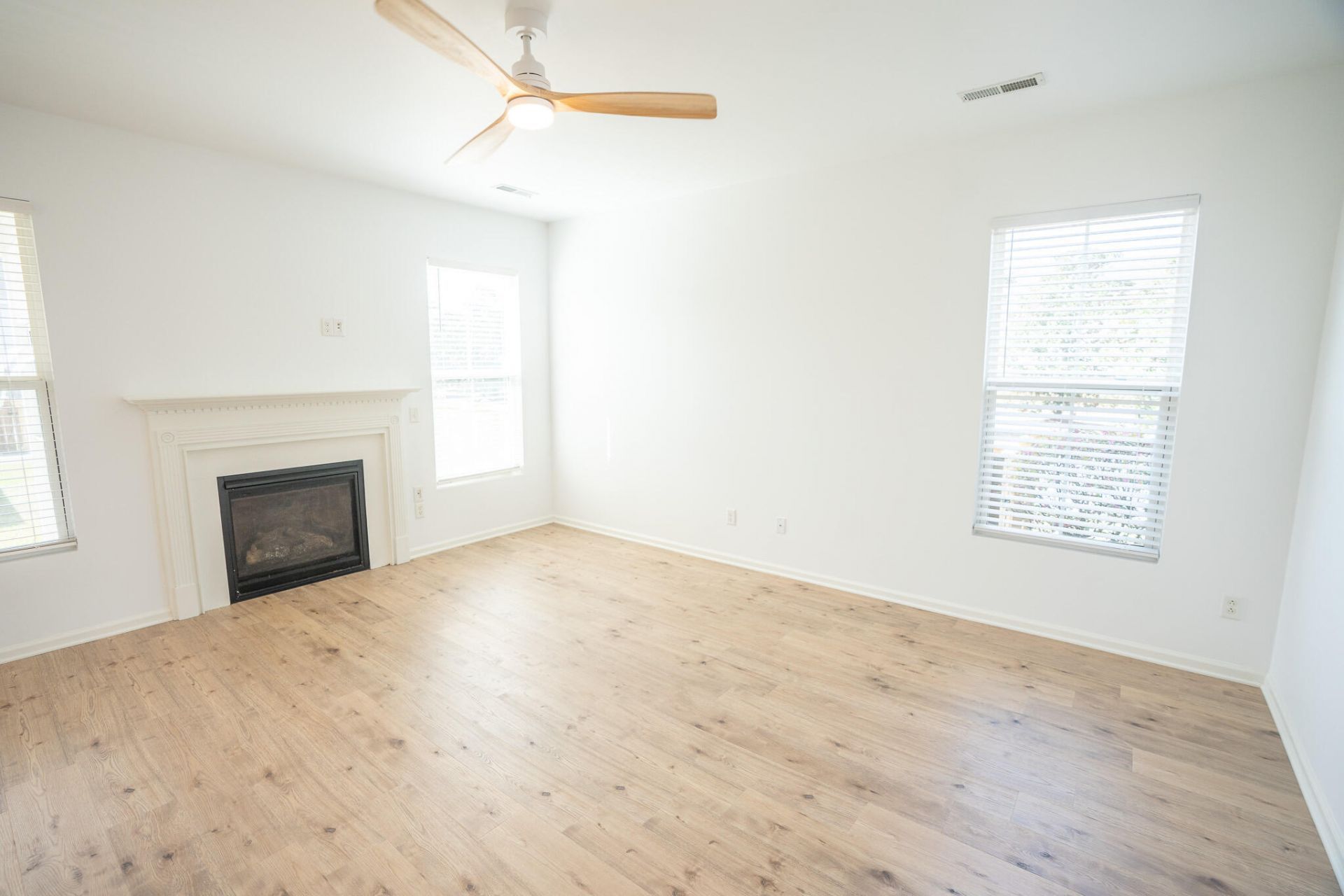 243 Cameron Street Photo 5