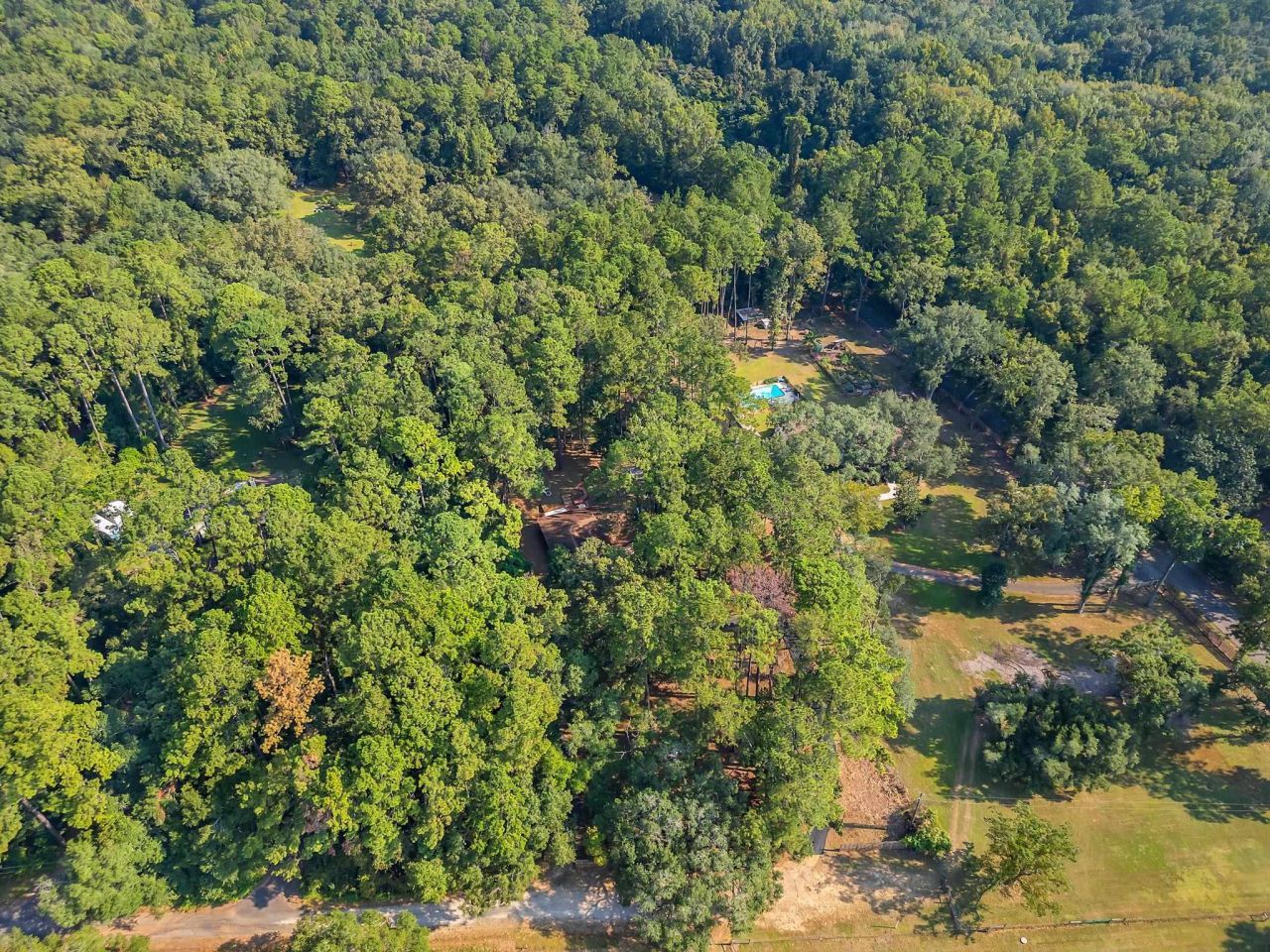 7916 Skipper Lane, Tallahassee, FL 32317 Photo