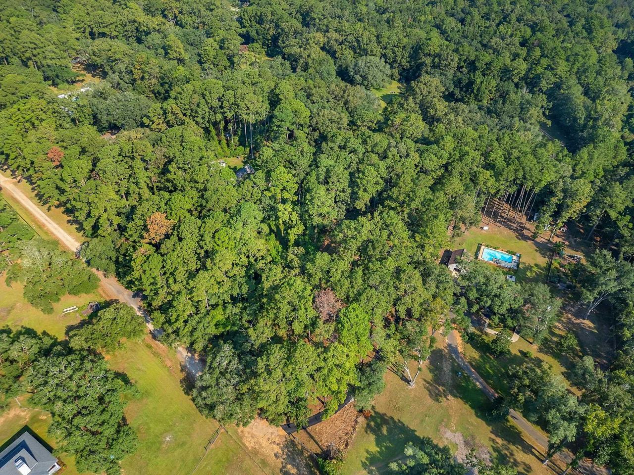 7916 Skipper Lane, Tallahassee, FL 32317 Photo