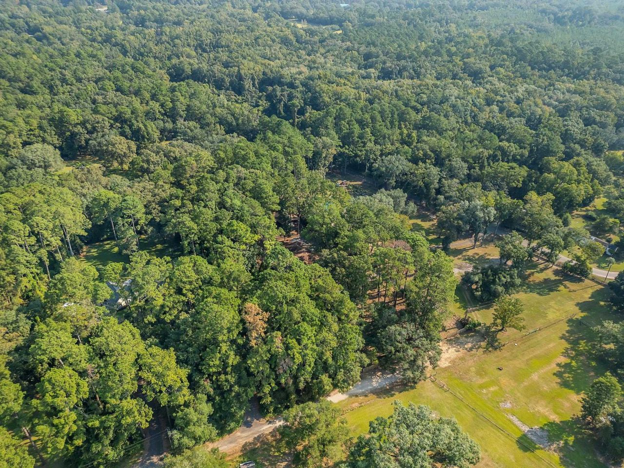 7916 Skipper Lane, Tallahassee, FL 32317 Photo