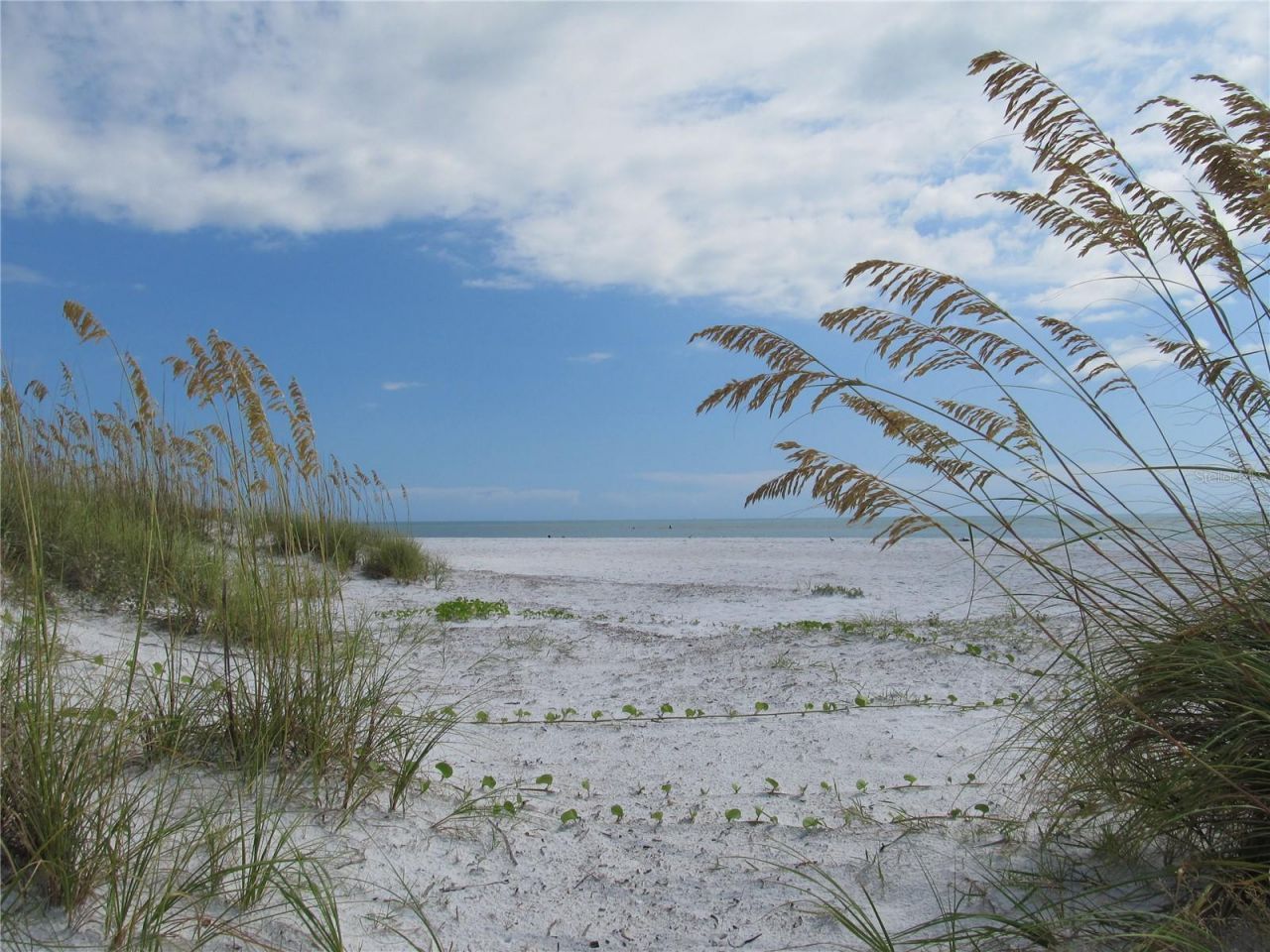 5803 De Palmas Avenue, Holmes Beach, FL 34217 Photo