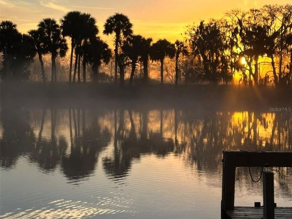 1129 LEMON BLUFF ROAD, OSTEEN, FL 32764