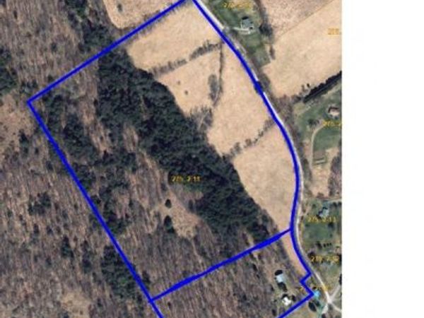Budine Hill Road, Walton, NY 13856