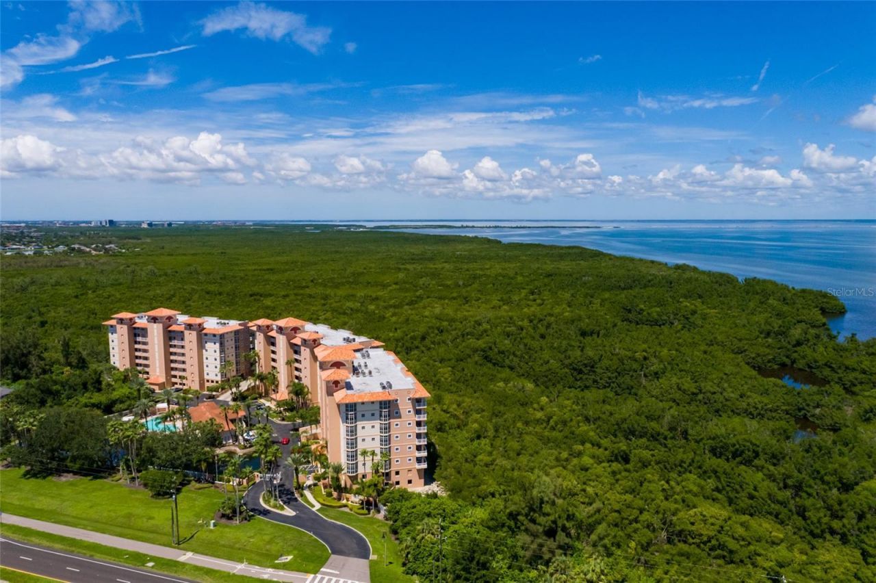 12033 Gandy Boulevard N, Unit 151, Saint Petersburg, FL 33702 Photo