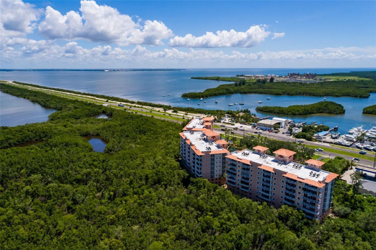 12033 Gandy Boulevard N, Unit 151, Saint Petersburg, FL 33702 Photo