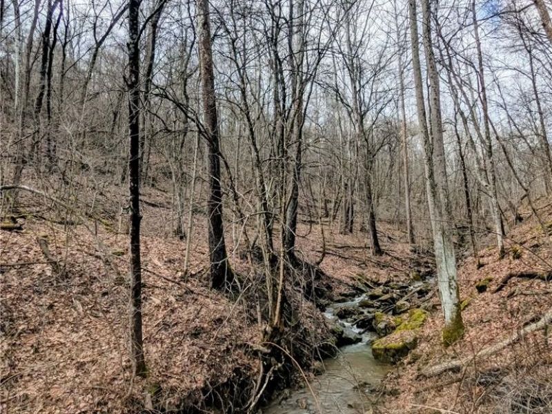 51327 Glencoe Stewartsville Road, Jacobsburg, OH 43933 Photo 22