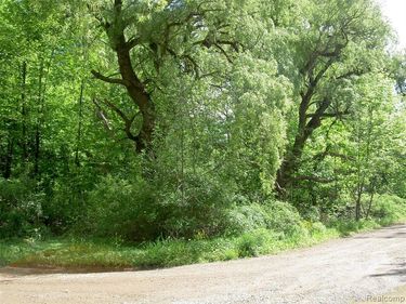 0000 Bridge, Waterford Twp, MI 48329