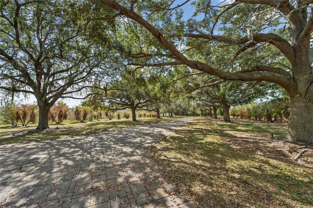 501 Adams Barn Road, Auburndale, FL 33823 Photo