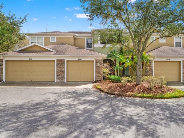 8103 STONE LEAF LANE, TAMPA, FL 33647