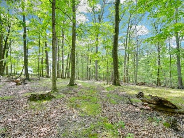 51 Paulinskill Lake Rd, Fredon, NJ 07860