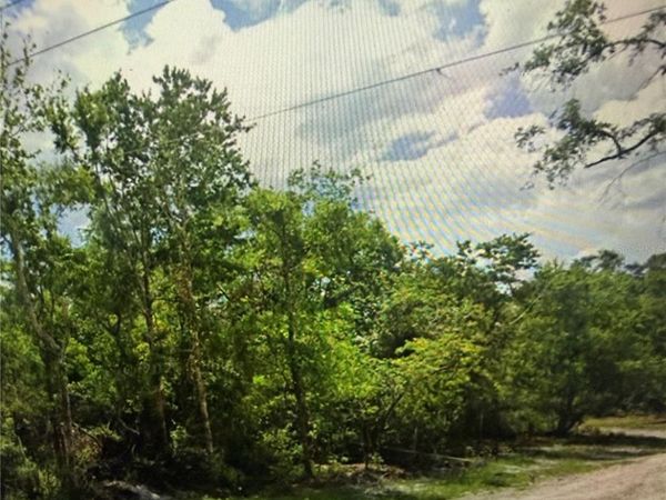 BRUTON ROAD , PLANT CITY, FL 33565