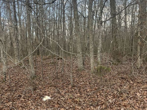 0 Boynton Valley Rd, Manchester, TN 37355