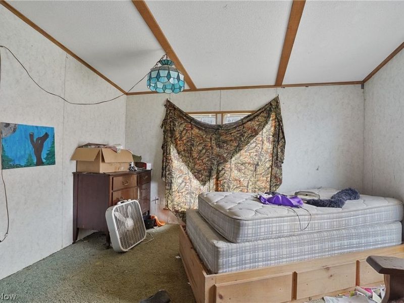 66887 & 66879 Wintergreen Road, Lore City, OH 43755 Photo 27