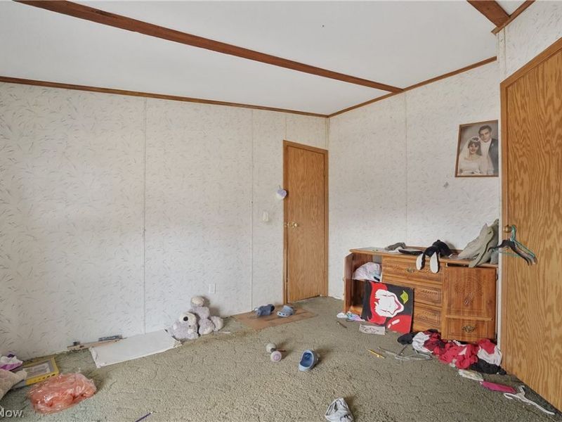 66887 & 66879 Wintergreen Road, Lore City, OH 43755 Photo 32