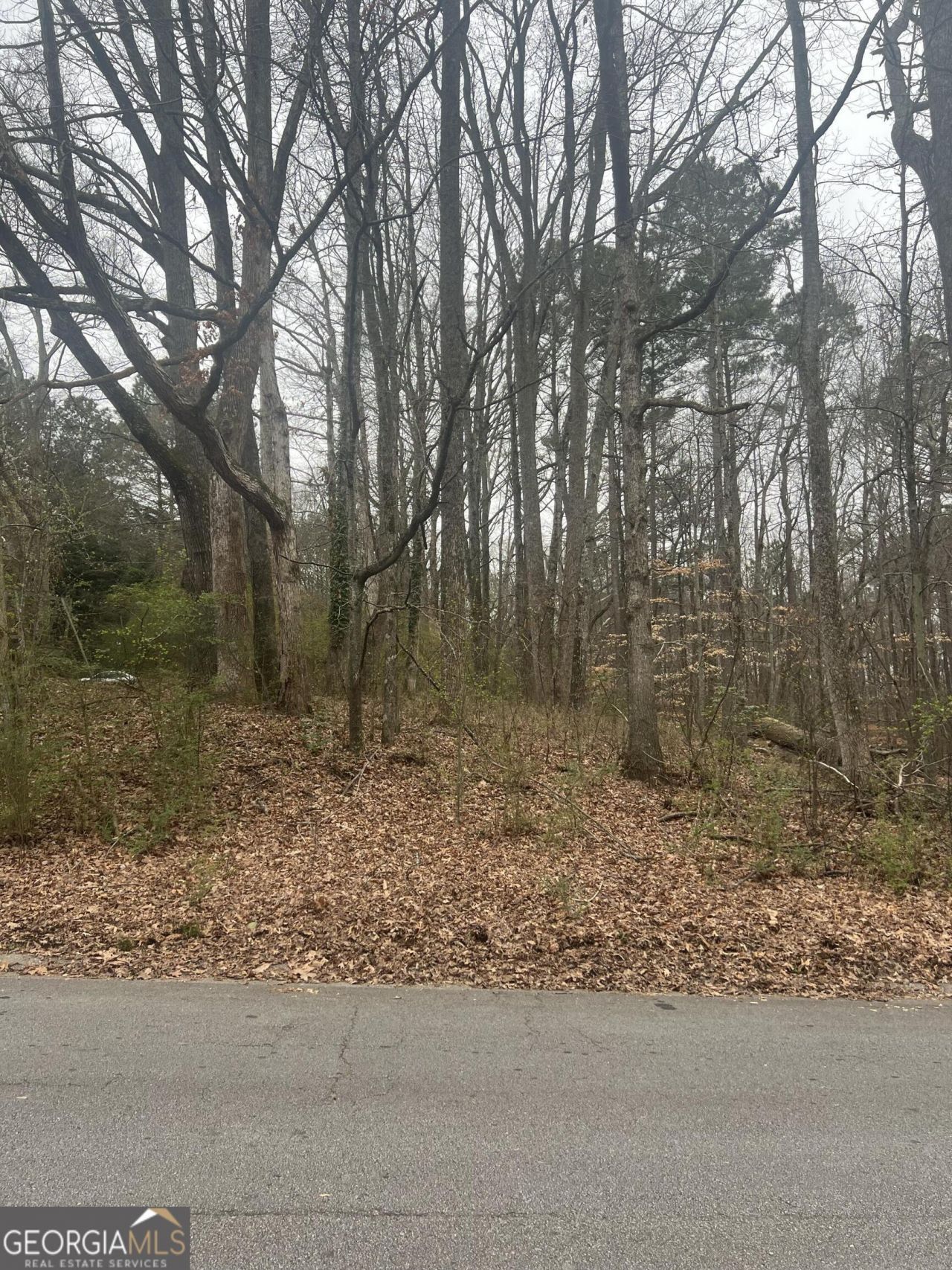 3400 Coles Creek Drive, Buford, GA 30519 Main Photo