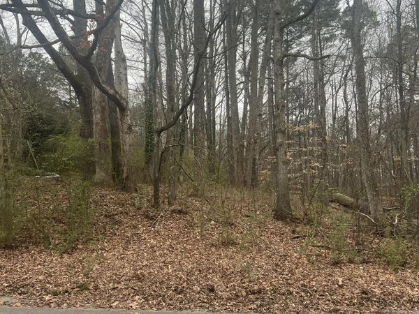 3400 Coles Creek Drive, Buford, GA 30519