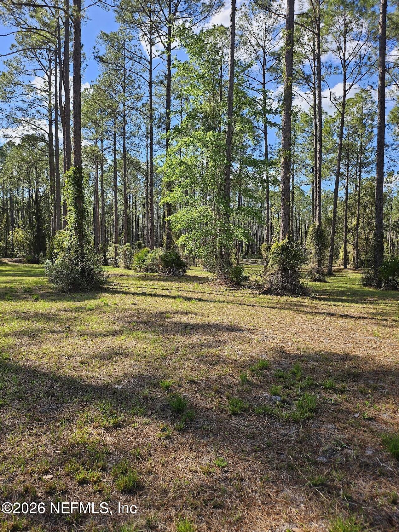 10149 Kings Crossing Drive, Jacksonville, FL 32219 Main Photo